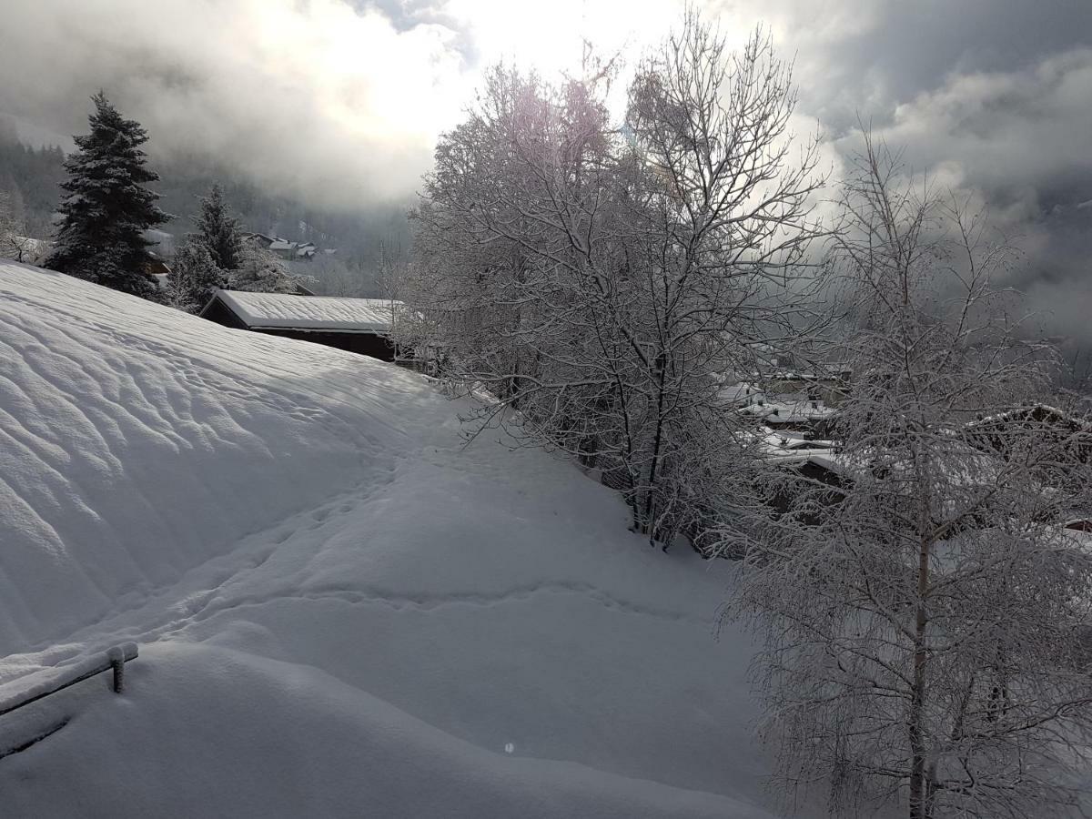 Arpege Des Neiges Apartment ซานต์-โฟย์-ตาฮองเตส ภายนอก รูปภาพ